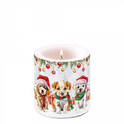 Funny cute puppies átvilágítós gyertya 8x7,5cm