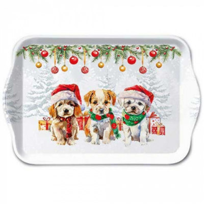 Funny cute puppies műanyag kistálca 13x21cm