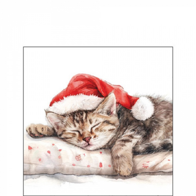 Dreaming about X-Mas papírszalvéta 25x25cm, 20db-os