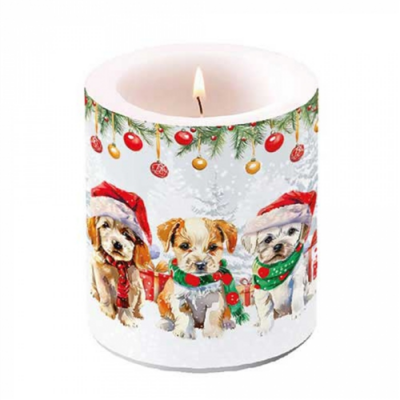 Funny cute puppies átvilágítós gyertya 10x10xcm