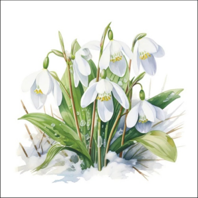 Blooming snowdrops papírszalvéta 33x33cm, 20db-os