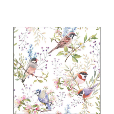 Busy birds papírszalvéta 25x25cm, 20db-os