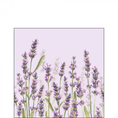 Papírszalvéta 25x25cm, 20db-os - Lavender Shades