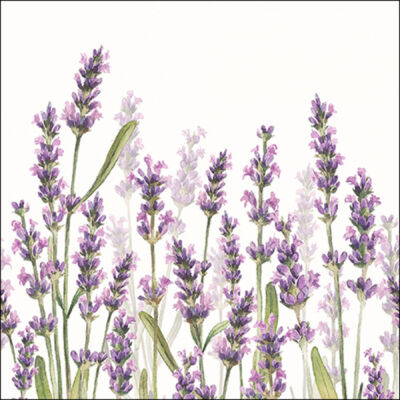 Papírszalvéta 33x33cm, 20db-os - 13315985