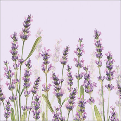 Papírszalvéta 33x33cm, 20db-os - Lavender Shade lila