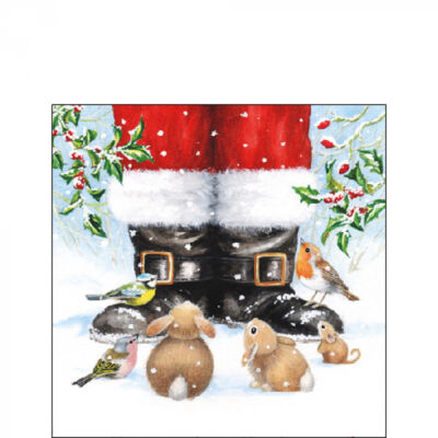 Krácsonyi papírszalvéta 25x25cm, 20db-os - Looking up to santa