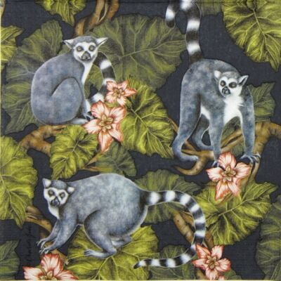 Szalvéta 33x33cm, 20db-os Midnight Madagaskar