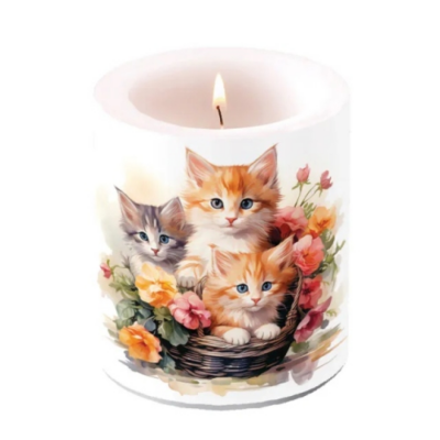 Cicás átvilágítós gyertya 10x10cm Kittens in basket