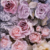 Winter Roses papírszalvéta 33x33cm,  20 db-os