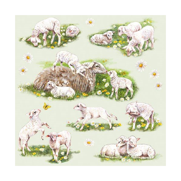 Húsvéti mintás szalvéta 33x33cm, 20db-os - Spring with Lambs 