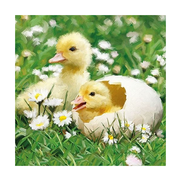 Húsvéti papírszalvéta 33x33cm, 20db-os - Newborn Chicks