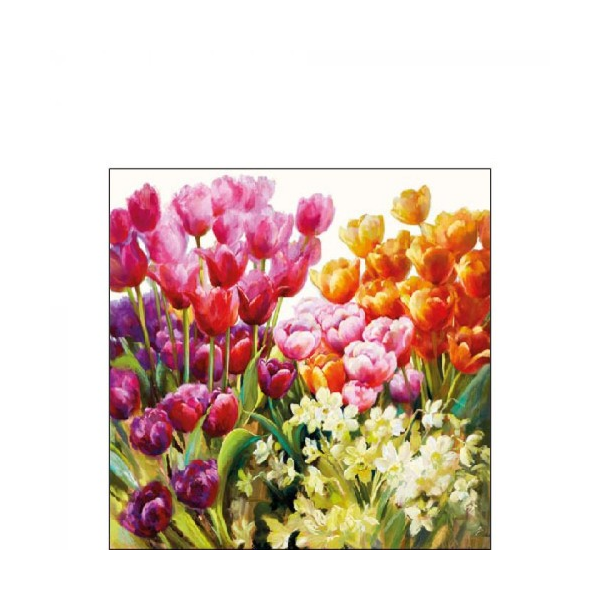 Tulips papírszalvéta 25x25cm, 20db-os