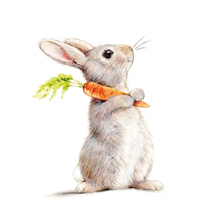 Húsvéti papírszalvéta - 33x33cm, 20db-os - Rabbit & Carrot 
