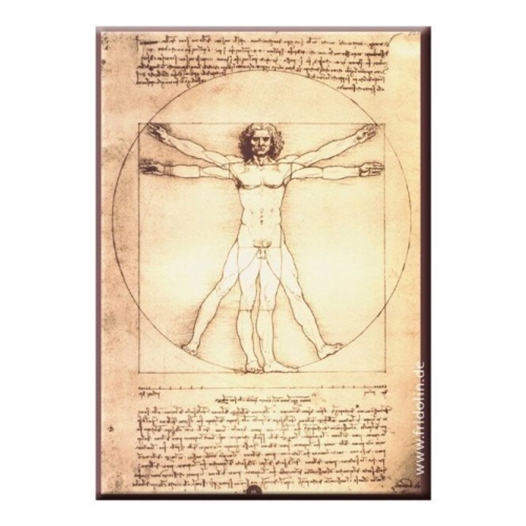 FRI.18310 Hűtőmágnes 8x5,4x0,3cm, Leonardo Da Vinci. Vitruvius tanulmány