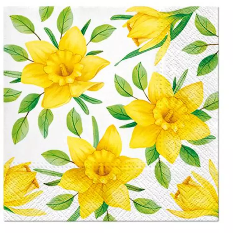 Daffodils in Bloom papírszalvéta 33x33cm, 20 db-os