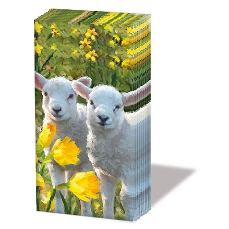 Sweet Lambs papírzsebkendő, 10db-os