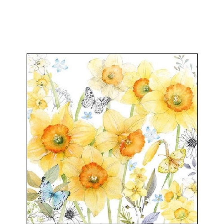 Classic Daffodis papírszalvéta 25x25cm, 20db-os