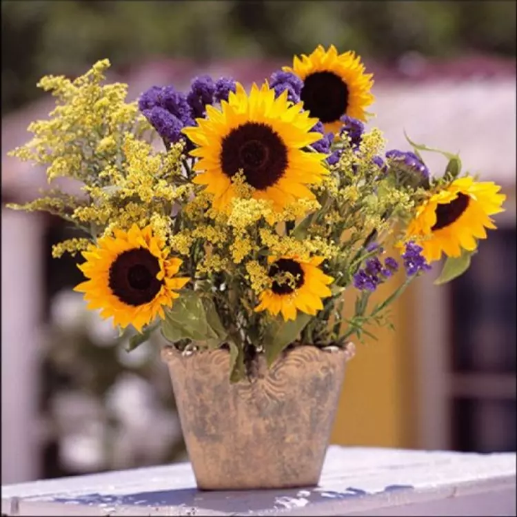 Sunflower Bouquet papírszalvéta 33x33 cm