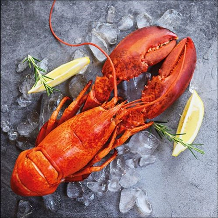 Fresh Lobster papírszalvéta 33x33cm, 20db-os