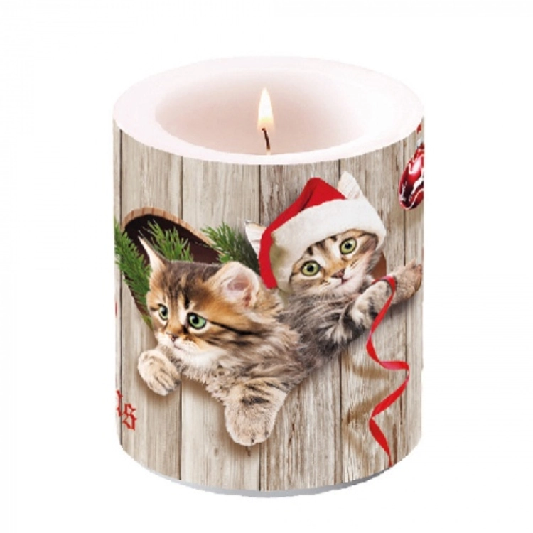 Karácsonyi Átvilágítós Gyertya - Curious Kittens - 10x10cm