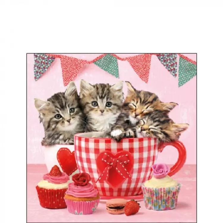 Cats In Tea Cups papírszalvéta 25x25cm, 20db-os