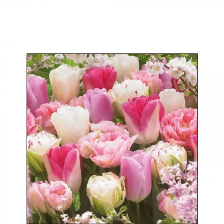 Pink Tulips papírszalvéta 25x25cm,20db-os