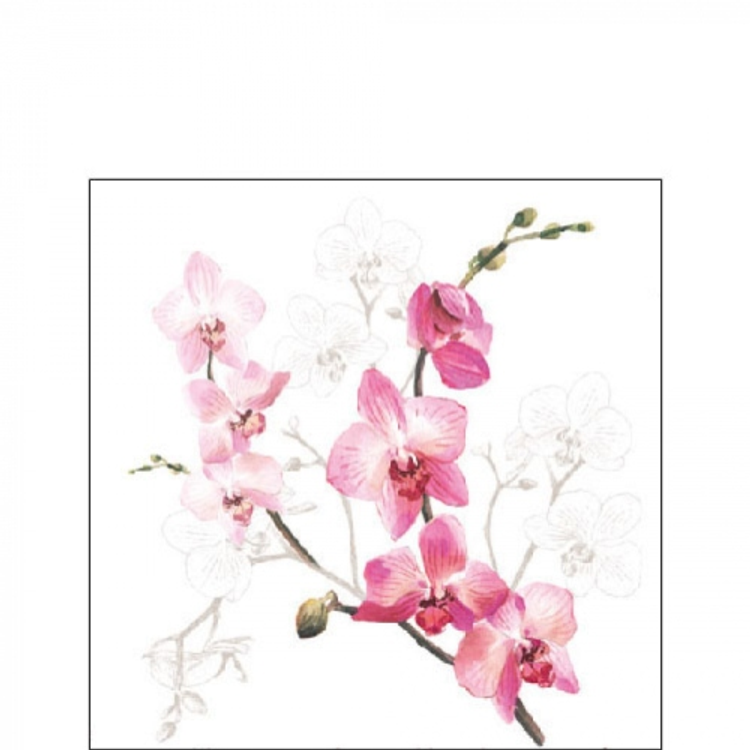 Orchid papírszalvéta 25x25cm,20db-os