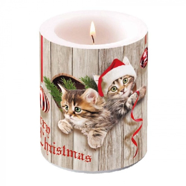 Karácsonyi Átvilágítós Gyertya - Curious Kittens - 12x10cm