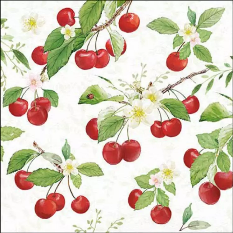 Papírszalvéta 33x33cm, 20db-os - Fresh cherries