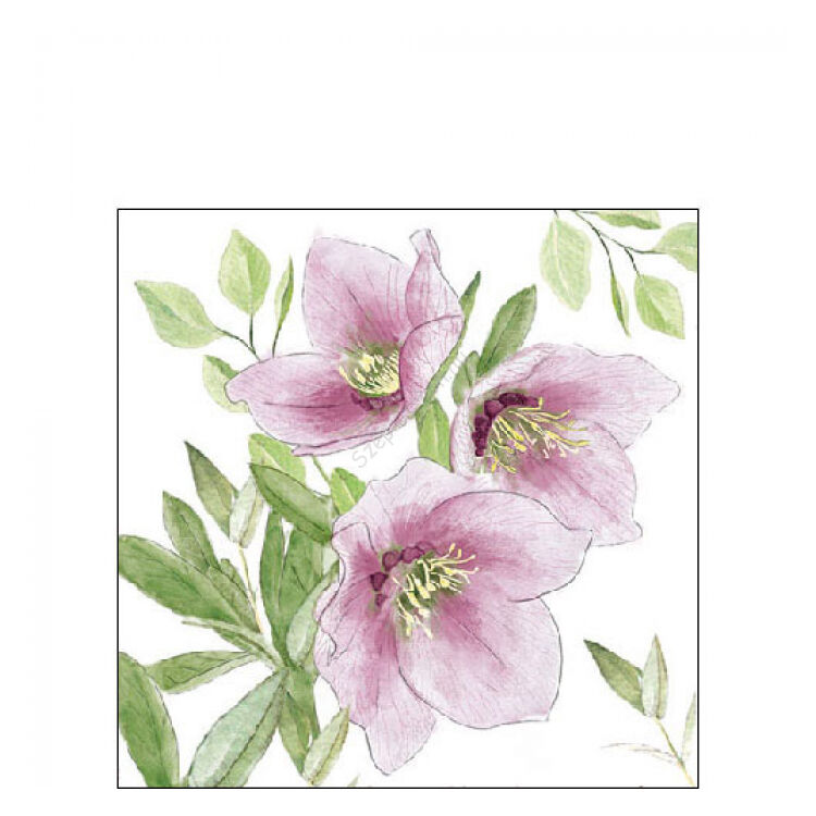 Papírszalvéta 25x25cm, 20db-os - Classic helleborus
