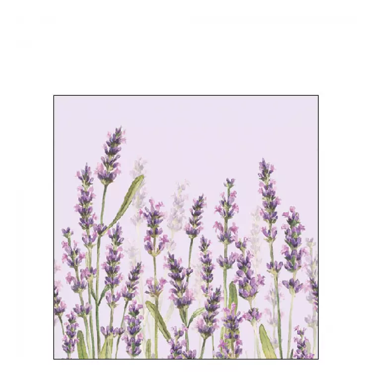 Papírszalvéta 25x25cm, 20db-os - Lavender Shades