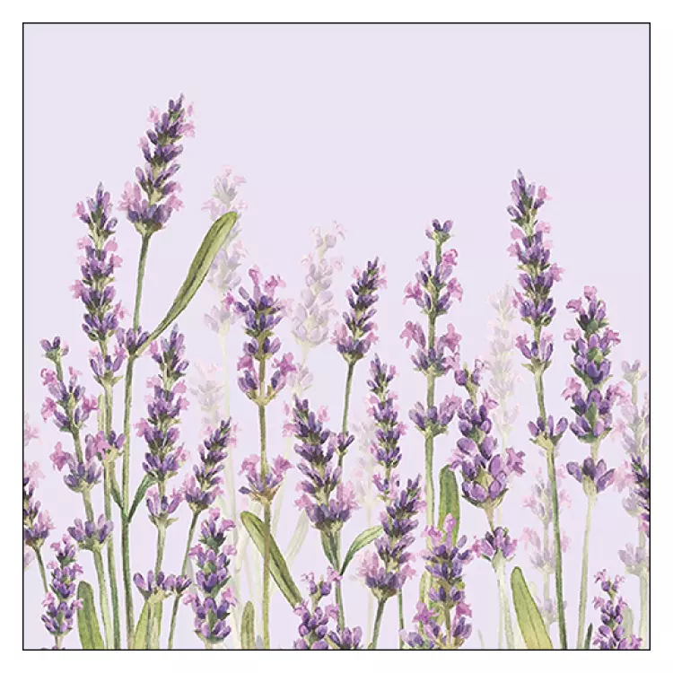 Papírszalvéta 33x33cm, 20db-os - Lavender Shade lila