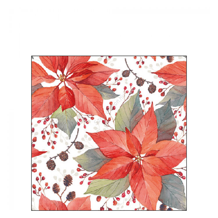 Poinsettia And Berries papírszalvéta 25x25cm, 20db-os