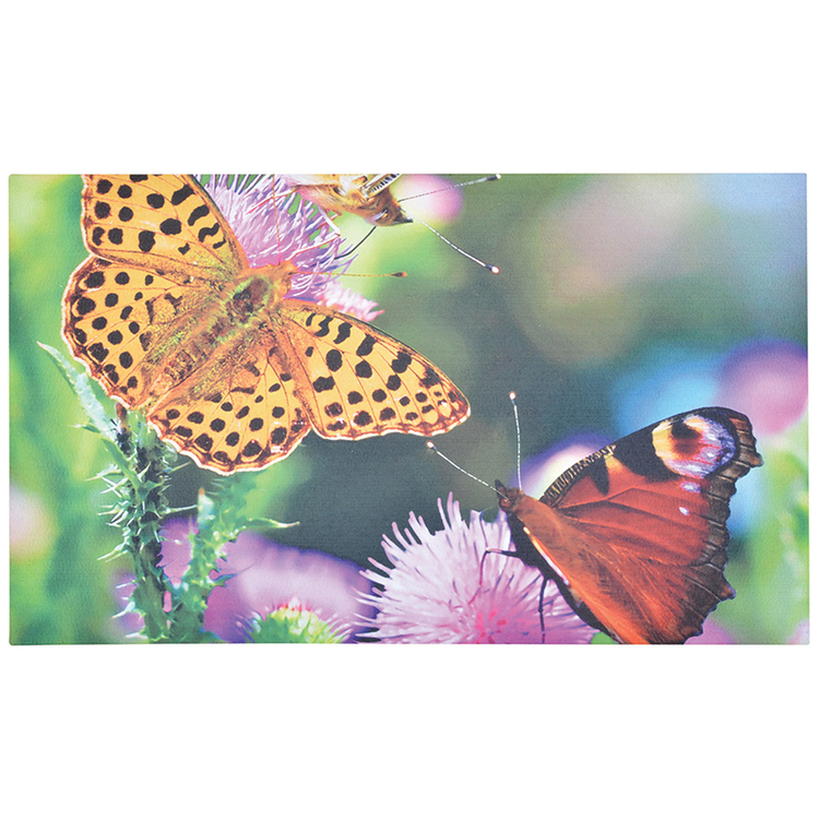 Pillangós lábtörlő, 75 x 45 cm