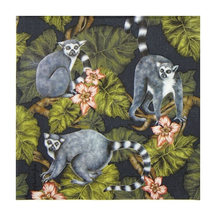 Szalvéta 33x33cm, 20db-os Midnight Madagaskar
